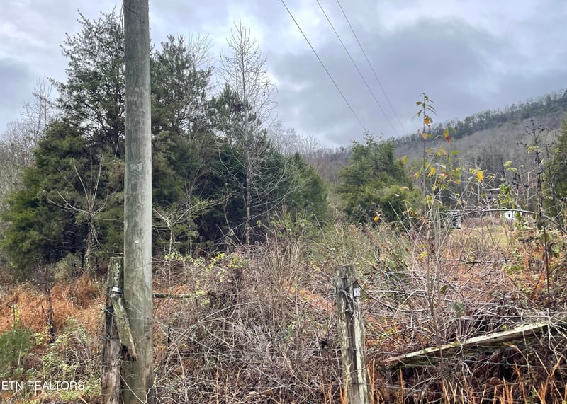0 Reagan Valley Rd, Tellico Plains, TN 37385