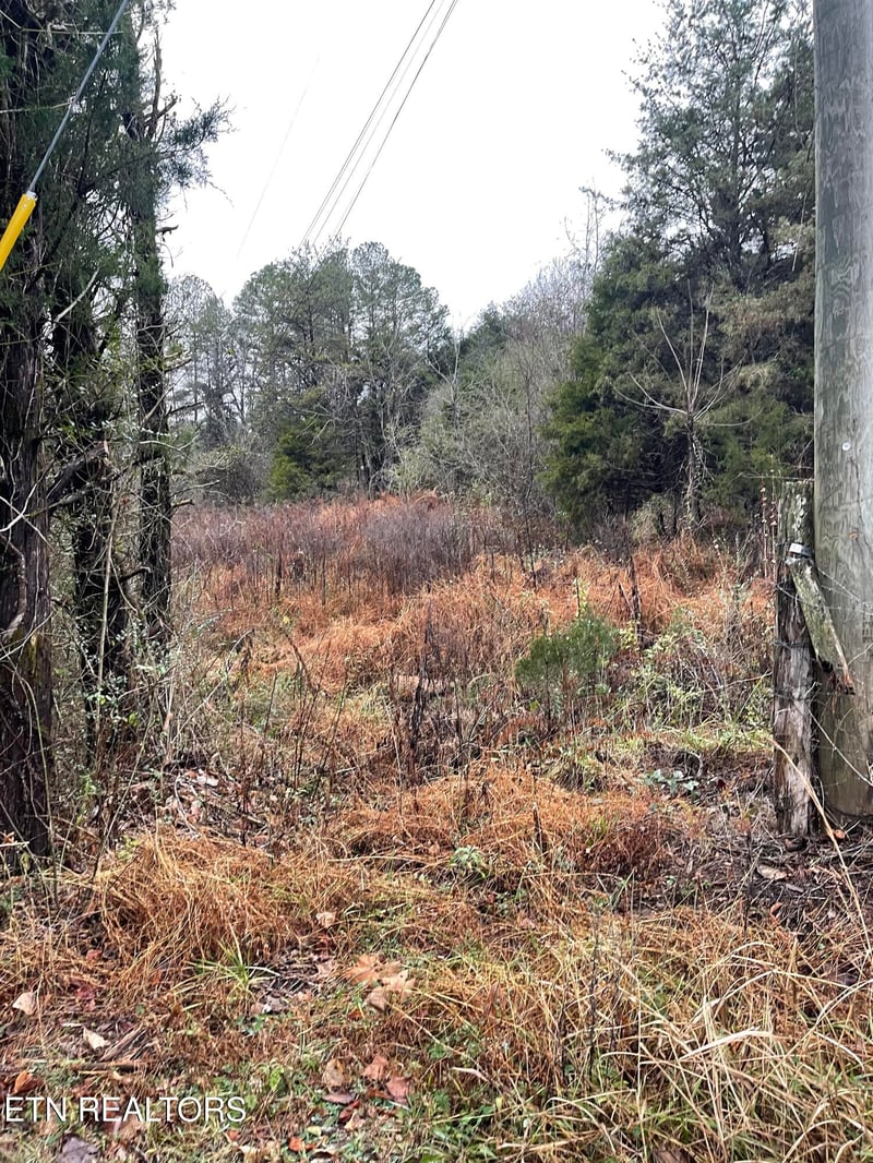 0 Reagan Valley Rd, Tellico Plains, TN 37385