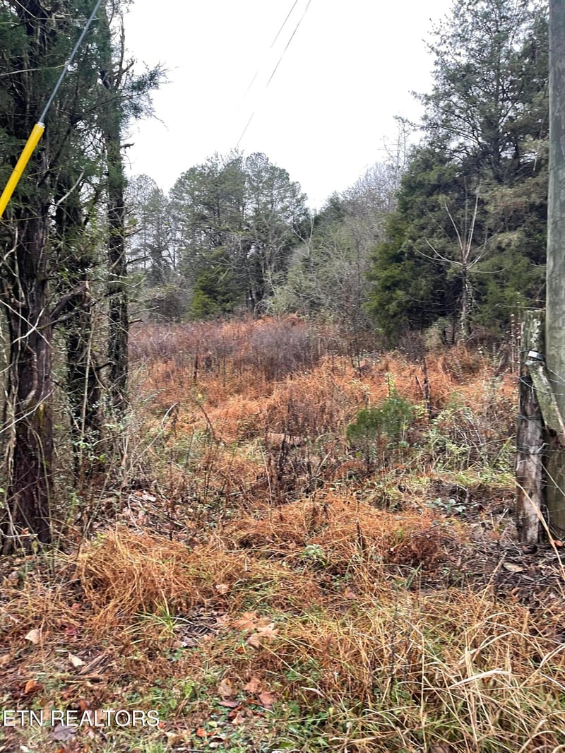 0 Reagan Valley Rd, Tellico Plains, TN 37385