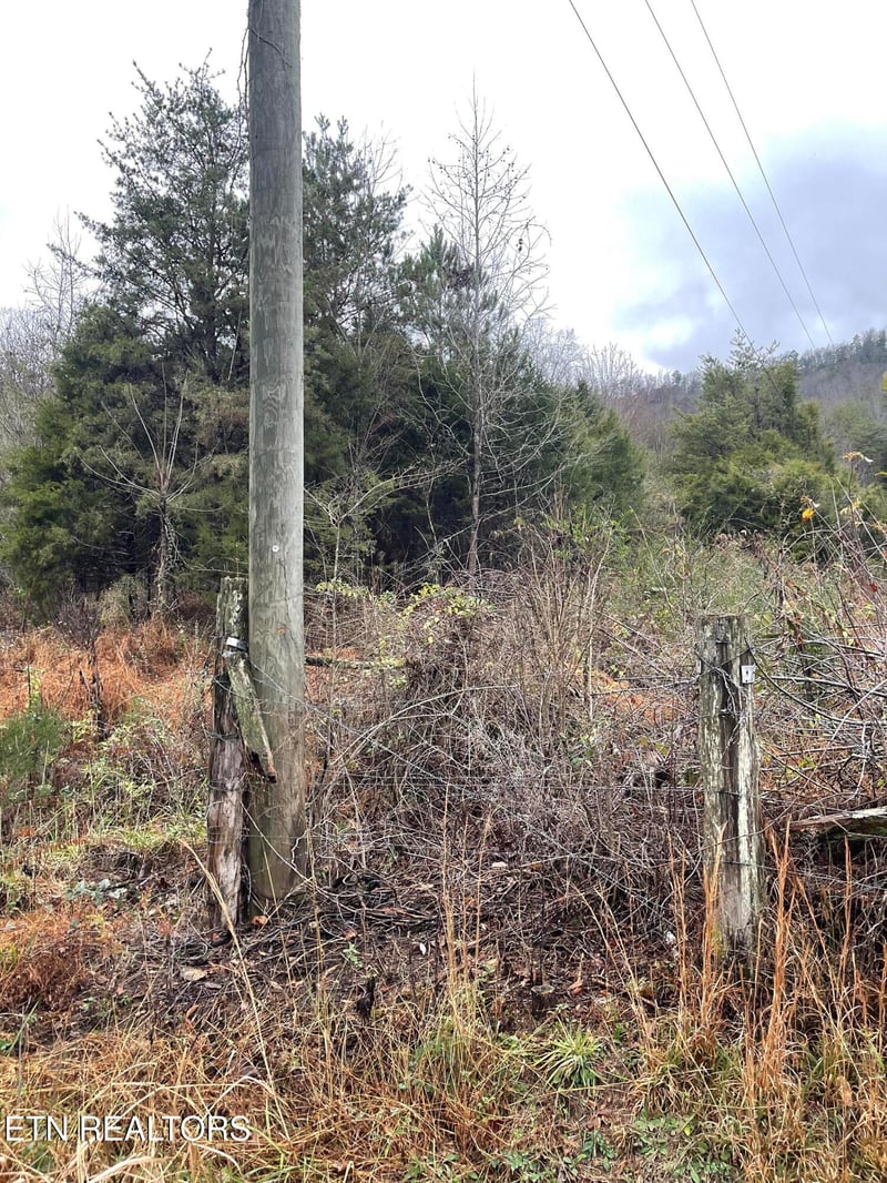 0 Reagan Valley Rd, Tellico Plains, TN 37385