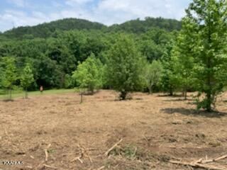 0 Red Bank Rd, Sevierville, TN 37862