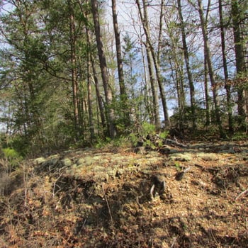 0 Red Bone Way, Pigeon Forge, TN 37876
