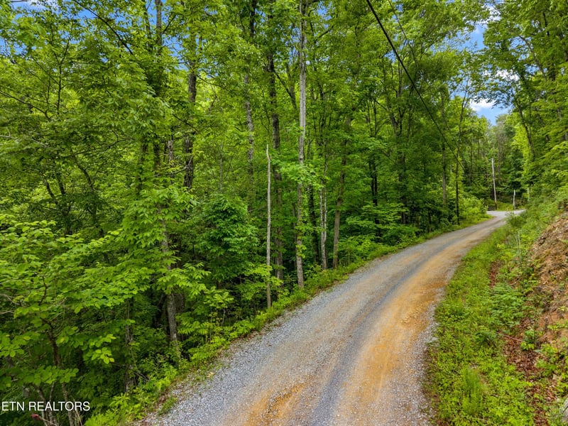 0 Red Bone Way, Sevierville, TN 37876