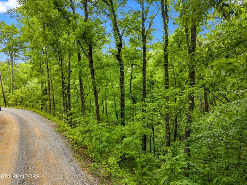 0 Red Bone Way, Sevierville, TN 37876