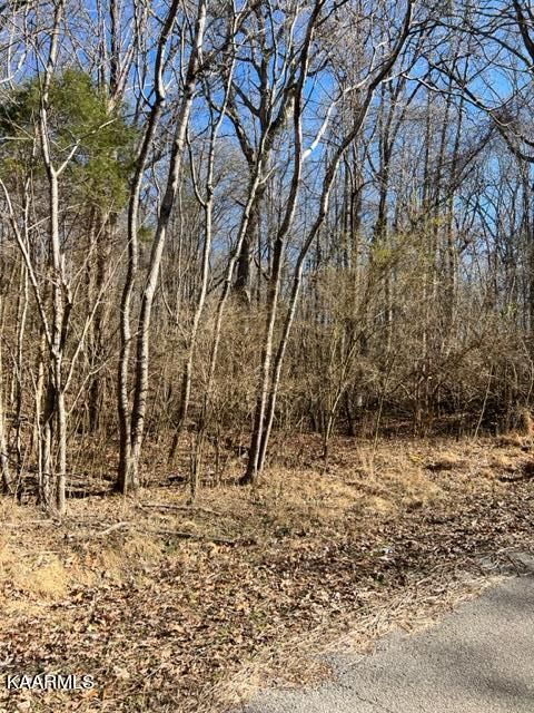 0 Red Bud Rd, Kingston, TN 37763