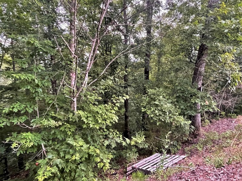 0 Red Cedar Way, Sevierville, TN 37876