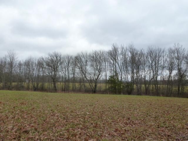 0 Red Hill Rd, Robbins, TN 37852