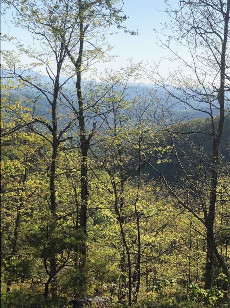0 Red Maple Ln, Sevierville, TN 37862