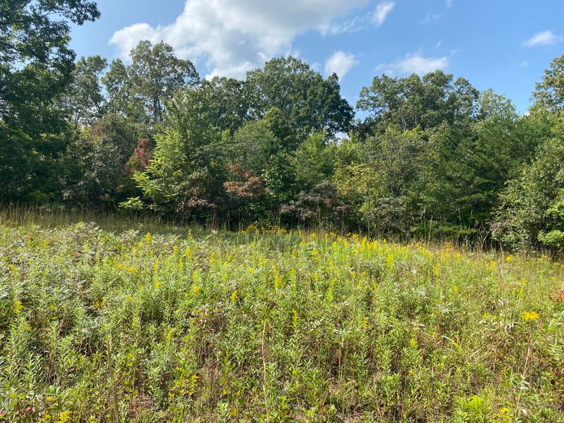 0 Red River Rd, Englewood, TN 37329