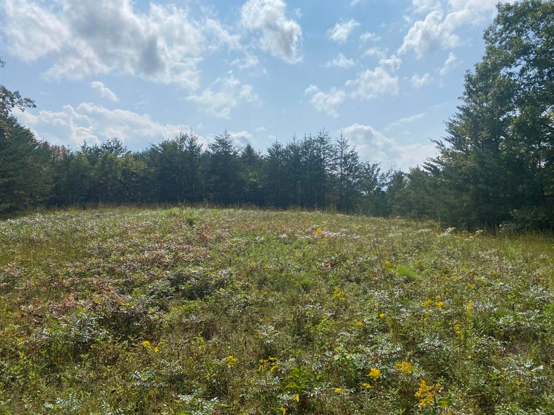 0 Red River Rd, Englewood, TN 37329