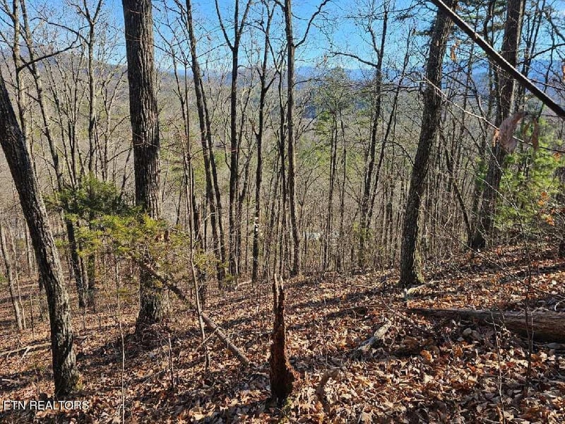 0 Red Rooster Way, Sevierville, TN 37876