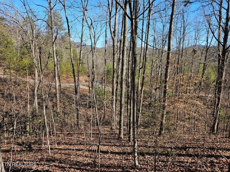 0 Red Rooster Way, Sevierville, TN 37876