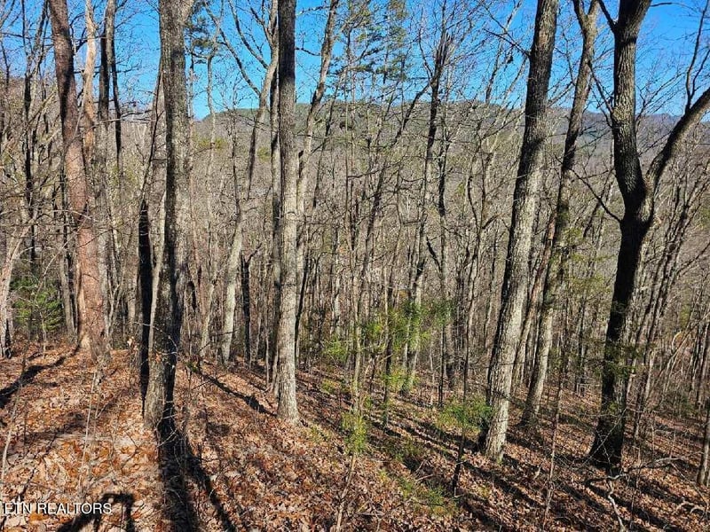 0 Red Rooster Way, Sevierville, TN 37876