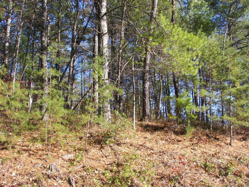 0 Red Wolf Ln, Townsend, TN 37882