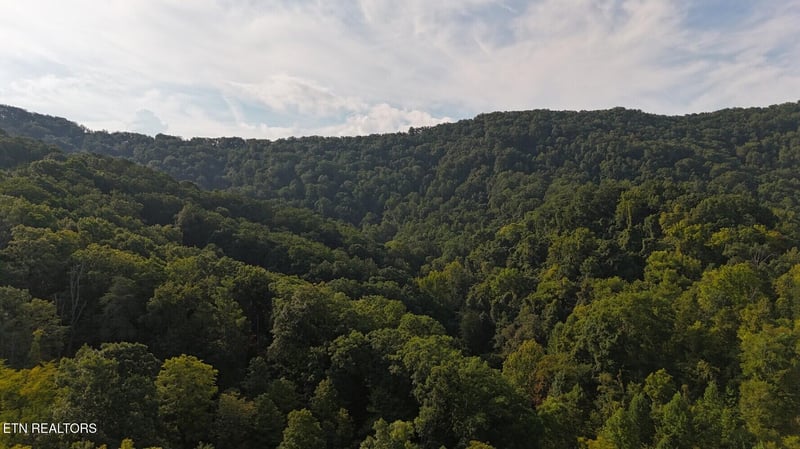 0 Redbud Cir, Luttrell, TN 37779