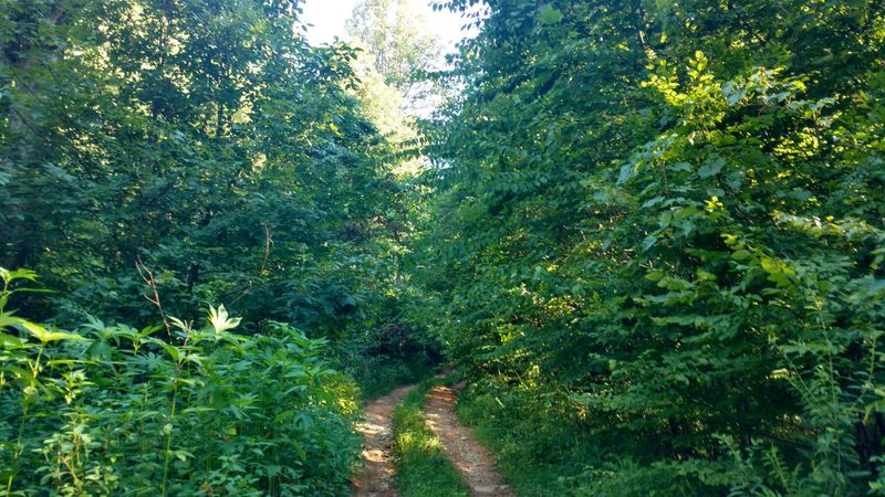 0 Reed Howard Way, Sevierville, TN 37876