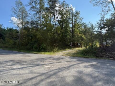 0 Reid Watson Rd, Deer Lodge, TN 37726