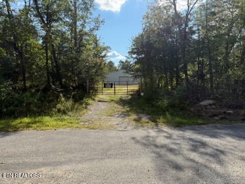 0 Reid Watson Rd, Deer Lodge, TN 37726