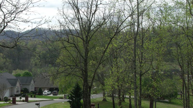 0 Remmington Dr, Maynardville, TN 37807