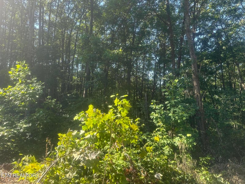 0 Renegade Mountain Pkwy, Crab Orchard, TN 37723