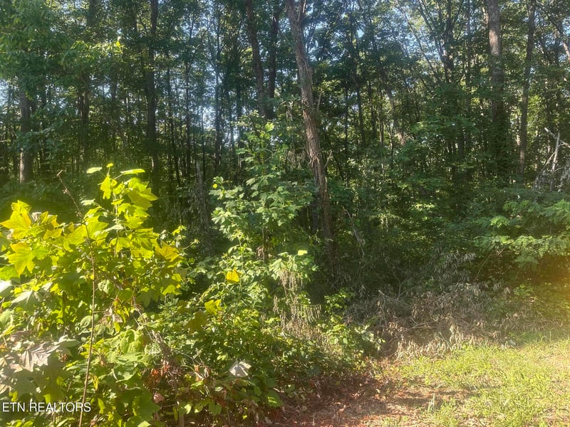 0 Renegade Mountain Pkwy, Crab Orchard, TN 37723
