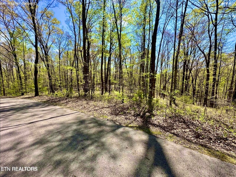 0 Reservoir Rd, Norris, TN 37828