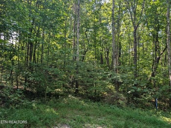 0 Retreat Circle Lot 48 49 50, Crossville, TN 38572