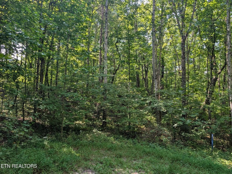 0 Retreat Circle Lot 48 49 50, Crossville, TN 38572