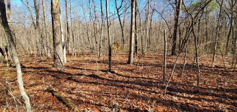 0 Rhonda Rd, Monterey, TN 38574