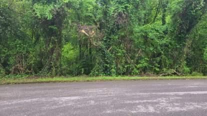 0 Ridge Ln, Clinton, TN 37717