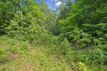0 Ridge Rd, Lancing, TN 37770