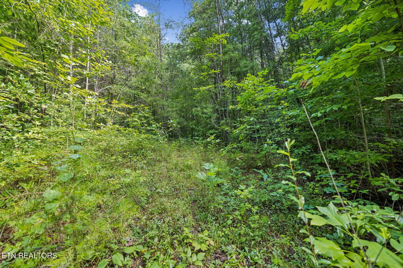 0 Ridge Rd, Lancing, TN 37770