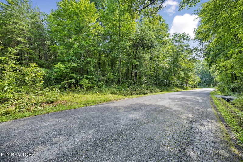 0 Ridge Rd, Lancing, TN 37770
