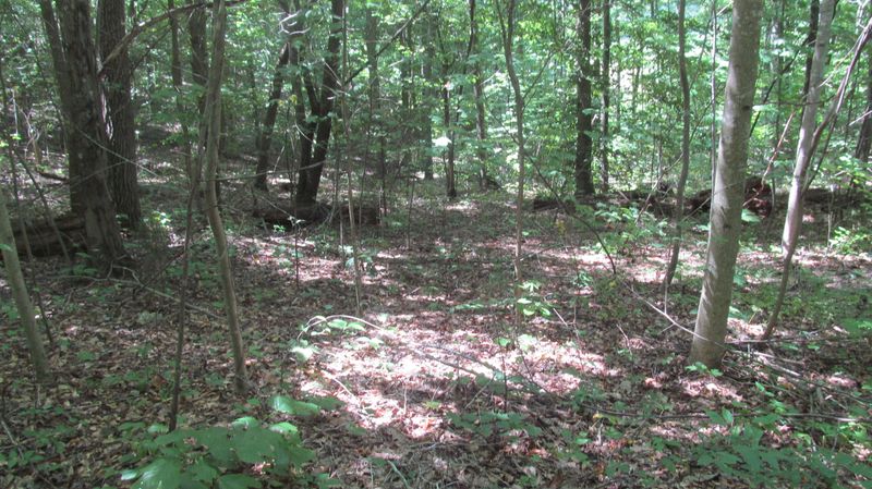 0 Ridge Rd, Maynardville, TN 37807