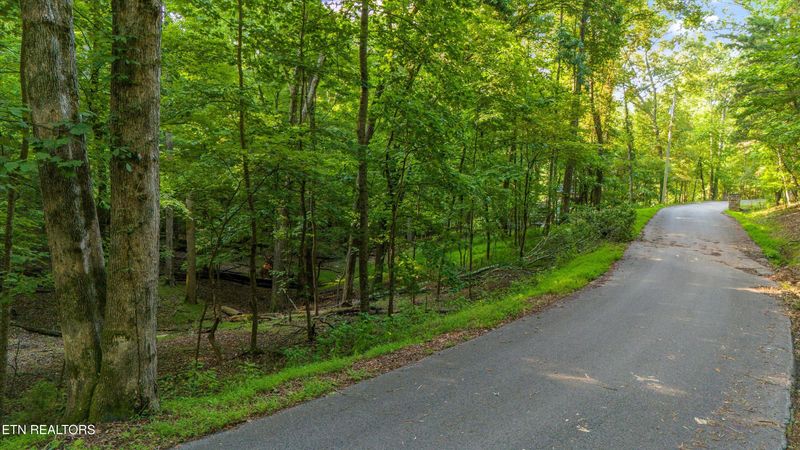 0 Ridge Top Ln, Andersonville, TN 37705