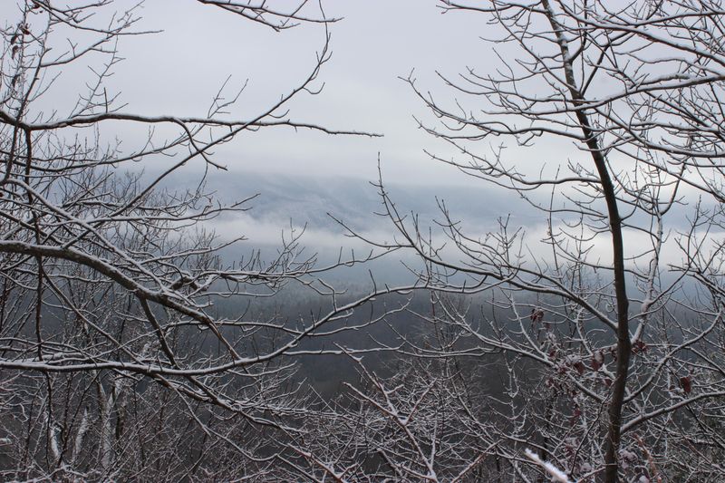 0 Ridge Top Way, Cosby, TN 37722