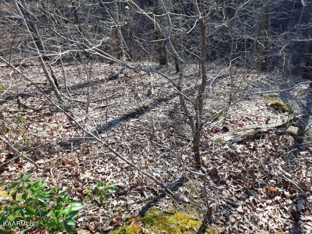 0 Ridgeland Cir, Sevierville, TN 37862