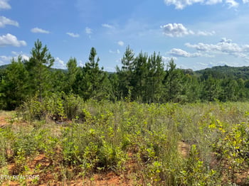0 Ridgeline Dr, Vonore, TN 37885