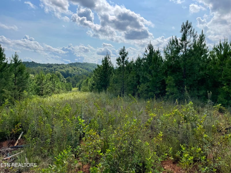 0 Ridgeline Dr, Vonore, TN 37885