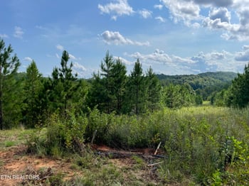 0 Ridgeline Dr, Vonore, TN 37885