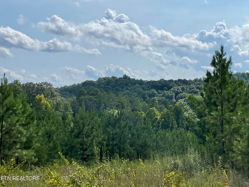 0 Ridgeline Dr, Vonore, TN 37885