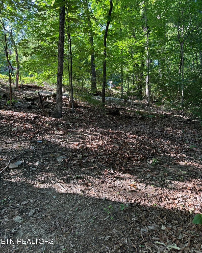 0 Ridgemont Dr, Knoxville, TN 37918