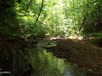 0 Ridgeview Rd, Bean Station, TN 37708