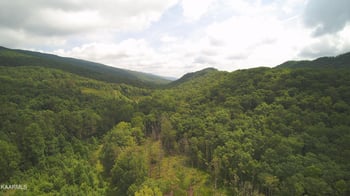 0 Ridgeview Rd, Bean Station, TN 37708