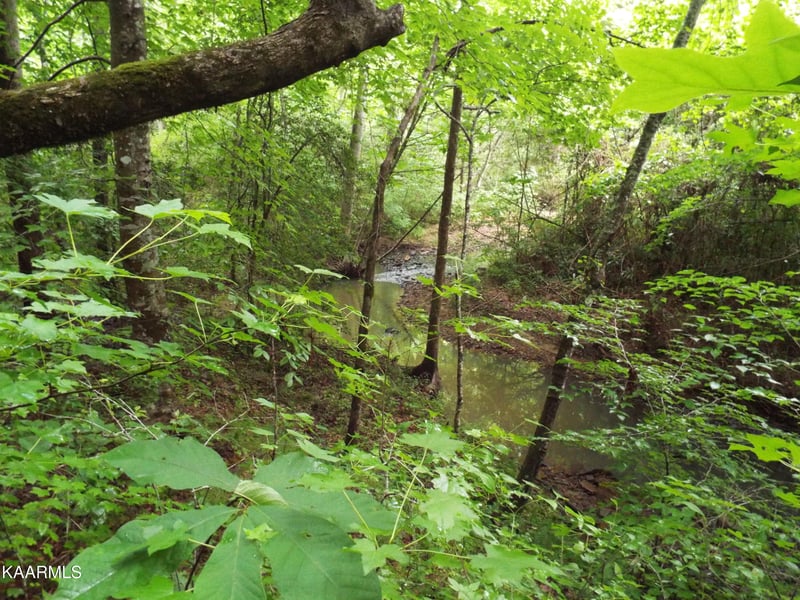 0 Ridgeview Rd, Bean Station, TN 37708