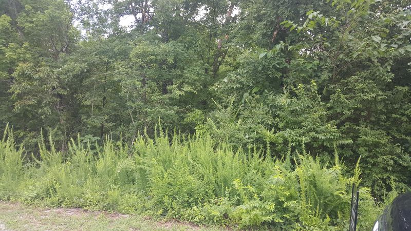 0 Rising Sun Dr, Corryton, TN 37721