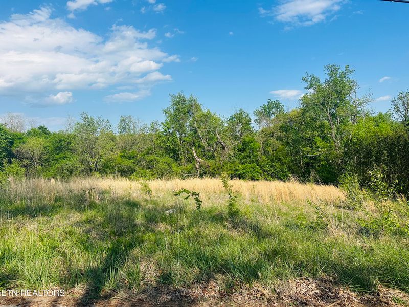 0 Ritz View Dr, Blaine, TN 37709