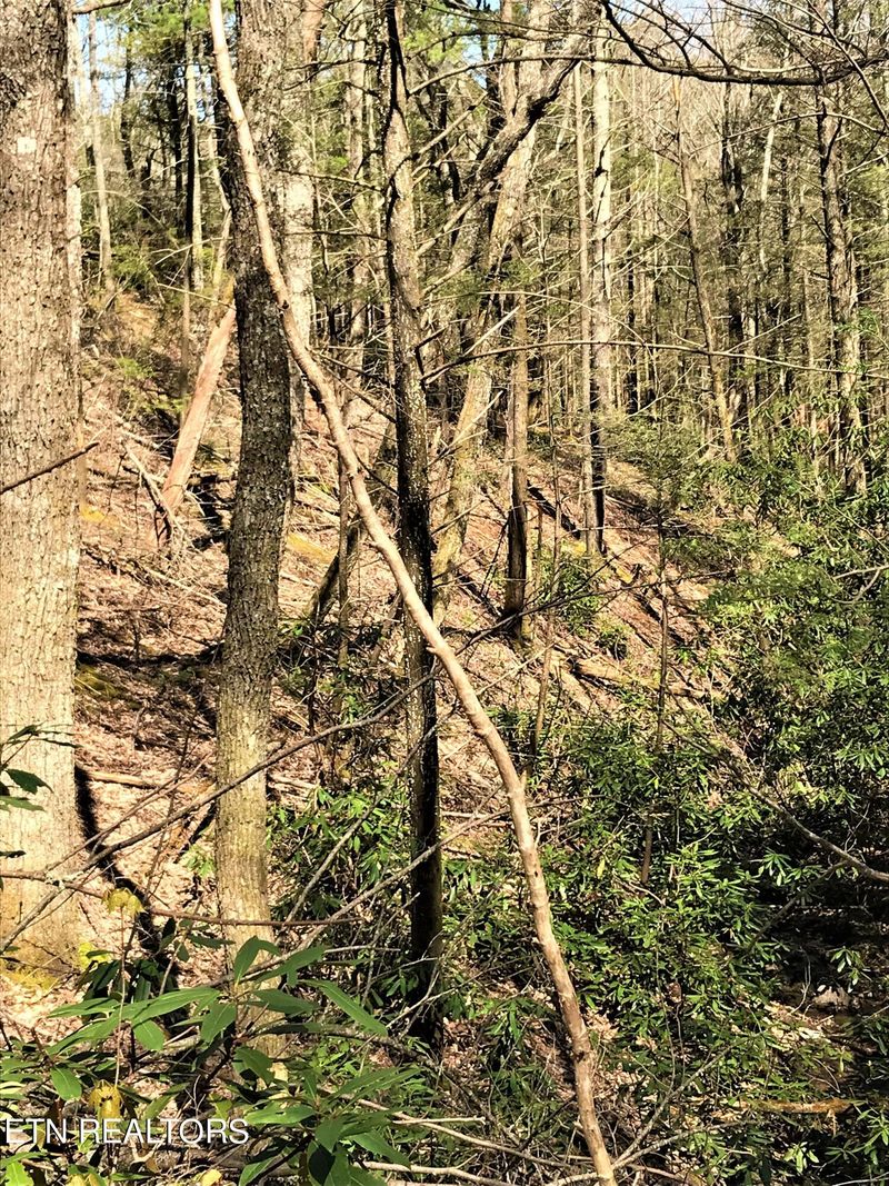 0 Rivendell Ln, Tellico Plains, TN 37385