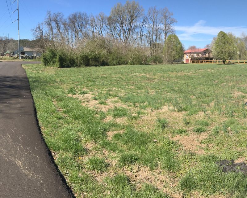 0 River Bank Rd, Pigeon Forge, TN 37863