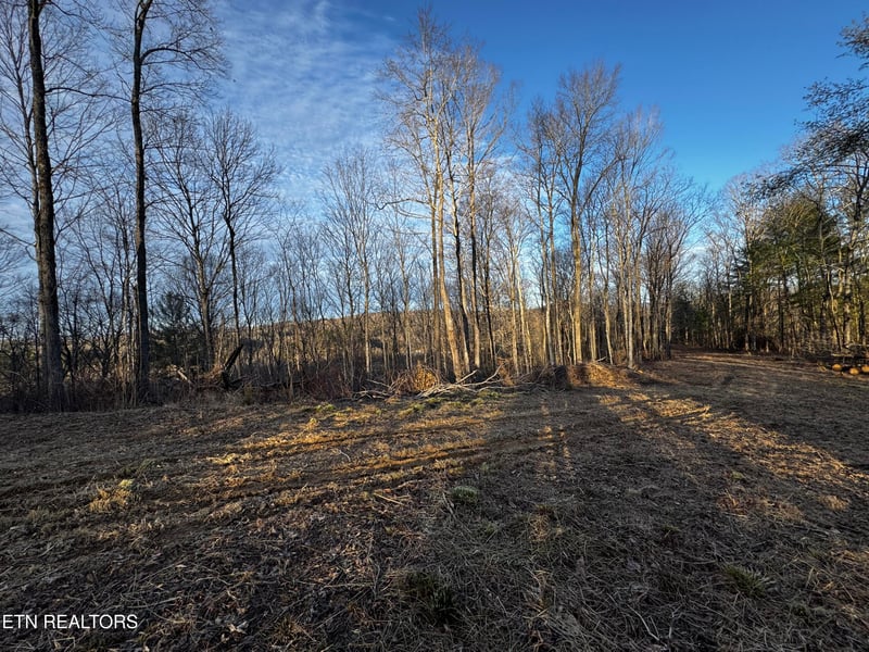 0 River Rd, Huntsville, TN 37756